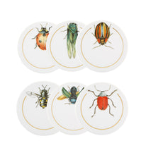 Load image into Gallery viewer, Vista Alegre Insects Coasters, Set of 6
