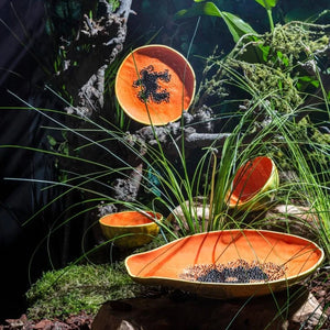 Bordallo Pinheiro Tropical Fruits Papaya Platter