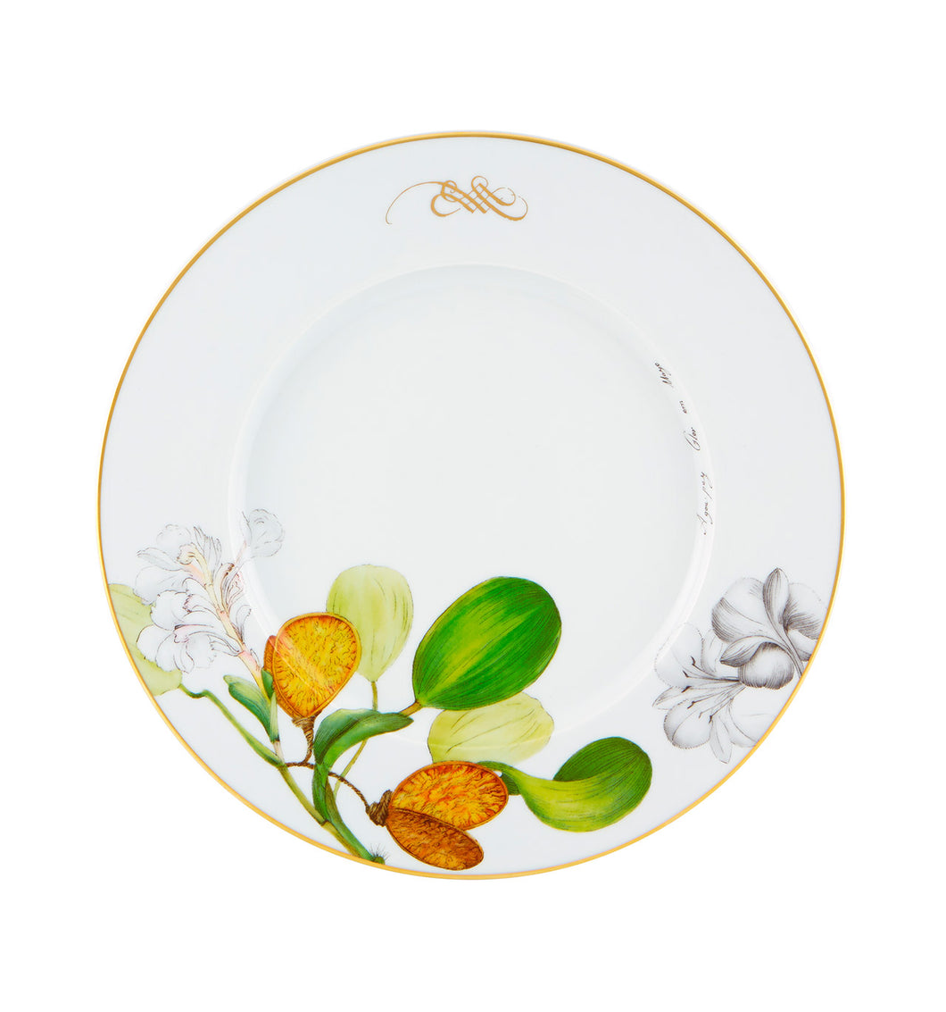 Vista Alegre Amazonia Dinner Plates, Set of 4