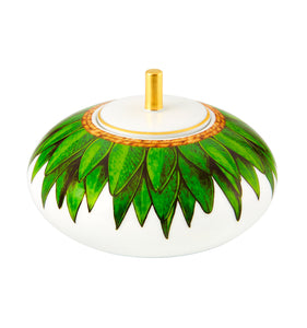 Vista Alegre Amazonia Sugar Box