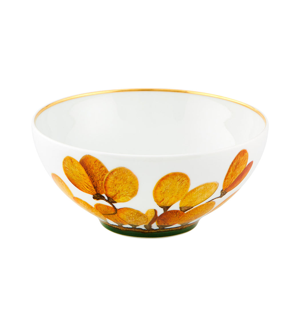 Vista Alegre Amazonia Cereal Bowl, Set of 4