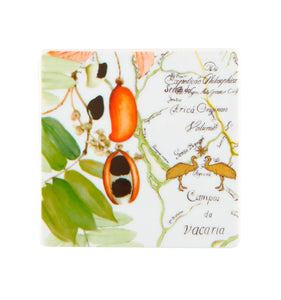 Vista Alegre Amazonia Coasters, Set of 4