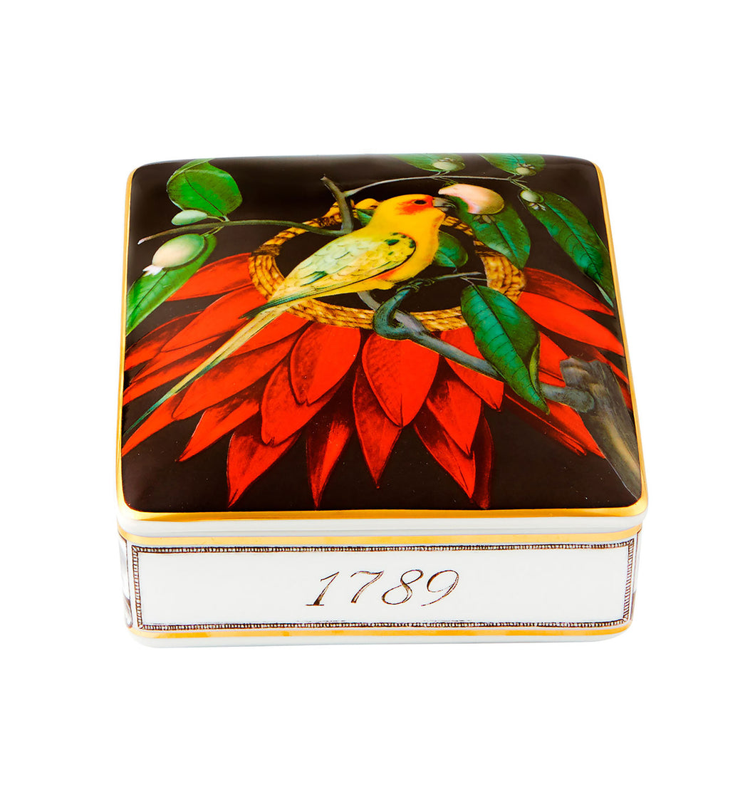 Vista Alegre Amazonia Card Box Dark