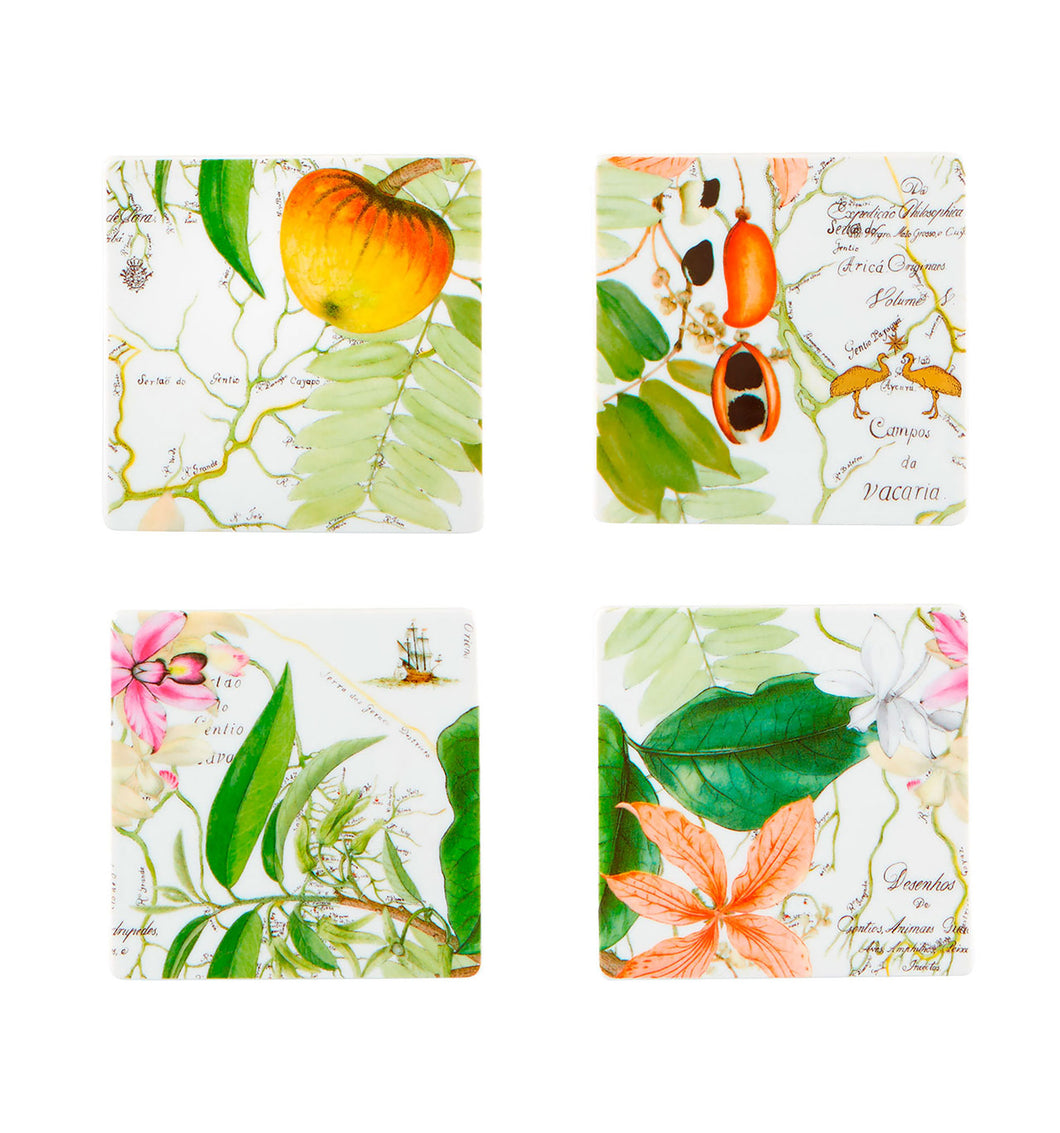 Vista Alegre Amazonia Coasters, Set of 4