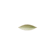 Load image into Gallery viewer, Costa Nova Riviera 7&quot; Vert Frais Laurel Leaf Set
