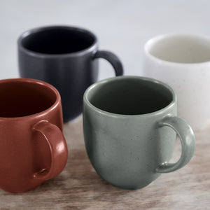 Casafina Pacifica 11 oz. Seed Grey Mug Set